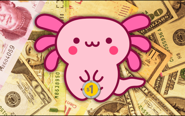 Hoy, la mejor opción en la compra del dólar —en este momento de la mañana (a las 07:20 horas)— es en Banamex; y la venta, en BBVA Bancomer. ESPECIAL / CANVA