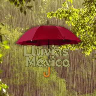 Alerta por lluvias intensas en 5 estados este 1 de octubre