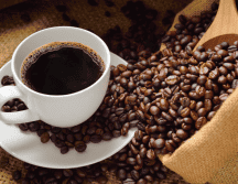 Es importante mencionar que estos beneficios se logran si se controla la ingesta de café. ESPECIAL