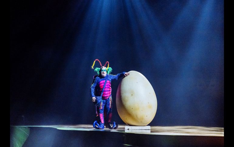 OVO regresa a Norteamérica y se presentará en Monterrey, Guadalajara y Ciudad de México / FOTO: CIRQUE DU SOLEIL