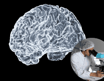 Científicos explican qué causa la enfermedad de párkinson. UNSPLASH / S. DAY / L. VASQUES