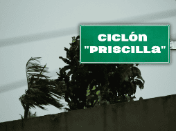 Hasta ahora se han formado 15 ciclones tropicales en el Pacífico mexicano;  pronto aparecería 