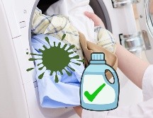 La Procuraduría analizó la información comercial, el cumplimiento de normas, así como pruebas de desempeño. ESPECIAL / CANVA