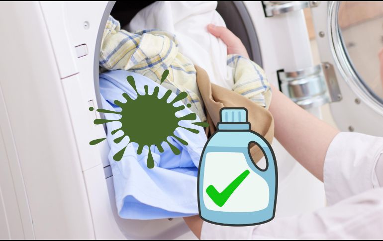 La Procuraduría analizó la información comercial, el cumplimiento de normas, así como pruebas de desempeño. ESPECIAL / CANVA