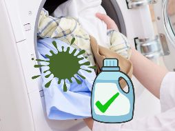 La Procuraduría analizó la información comercial, el cumplimiento de normas, así como pruebas de desempeño. ESPECIAL / CANVA