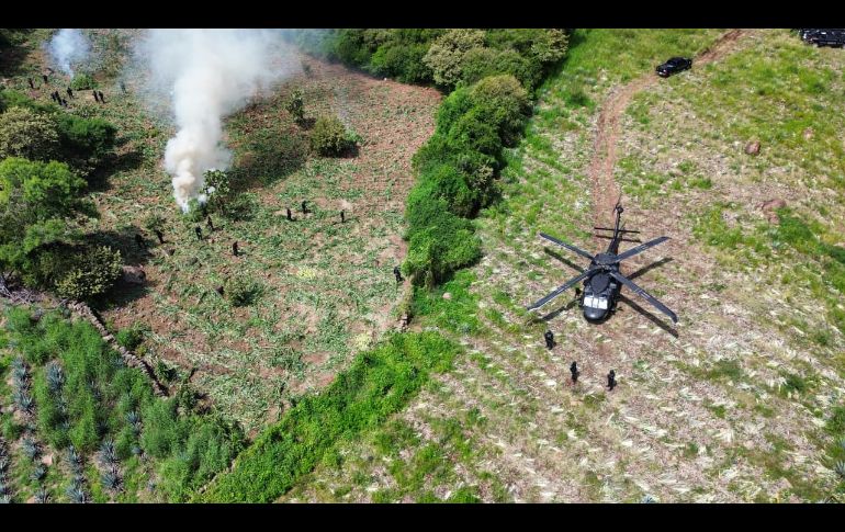 Con esta acción, la Policía de Jalisco evitó que llegaran a las calles aproximadamente 21 millones de dosis. ESPECIAL