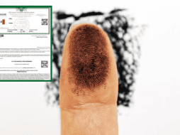 Esta nueva versión de la CURP busca ofrecer una alternativa moderna y segura, especialmente útil para menores de edad o personas que aún no cuentan con credencial de elector. ESPECIAL/ Unsplash