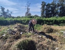 Esta cuenca del río Lerma-Santiago es la más grande del país, por ello resaltan la importancia de trabajar en su cuidado y mantenimiento. EL INFORMADOR / O. González