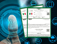 ¿Qué documentos necesitas para tramitar la CURP biométrica? ESPECIAL / CANVA