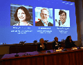 Los tres fueron distinguidos por sus "descubrimientos sobre la tolerancia inmunitaria periférica", anunció el comité del Nobel en un comunicado. EFE / C. Bresciani