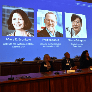 Nobel de Medicina premia investigación sobre el control del sistema inmunitario