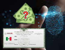 La CURP biométrica incluirá datos biométricos, como huellas dactilares, escaneó del iris -de ambos ojos-, fotografía, firma electrónica, entre otras. ESPECIAL / CANVA