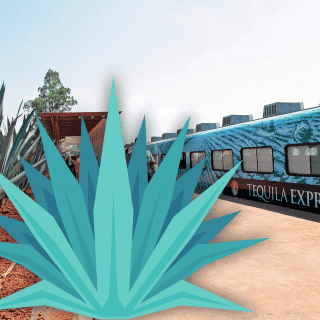 ¿Cómo es el Tequila Express?