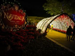 Desde su primera edición, Navidalia ha recibido a más de 570 mil visitantes y ha ofrecido 53 atracciones. EL INFORMADOR / ARCHIVO