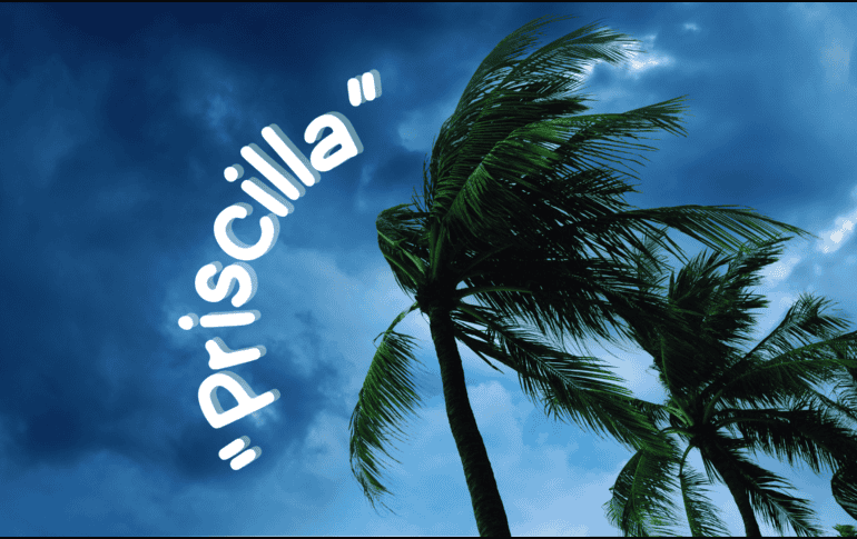 Autoridades piden extremar precauciones a la población en general en las zonas de los estados mencionados por lluvias, viento y oleaje. ESPECIAL / CANVA