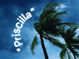 Autoridades piden extremar precauciones a la población en general en las zonas de los estados mencionados por lluvias, viento y oleaje. ESPECIAL / CANVA