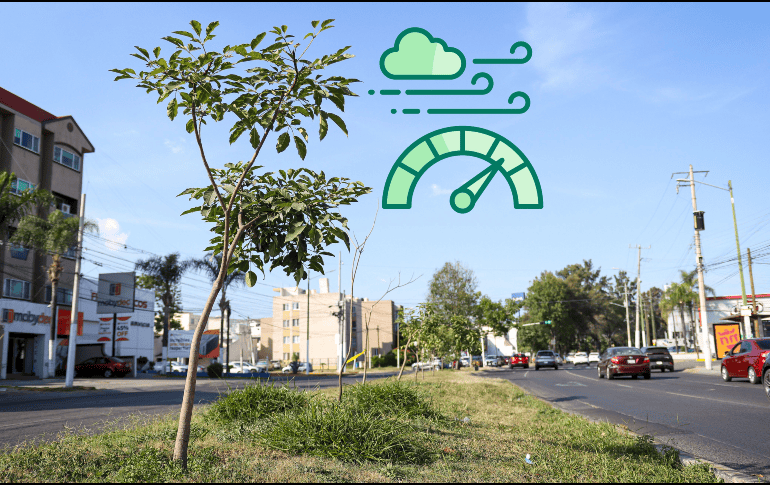 Índice de la calidad por zonas del AMG. EL INFORMADOR / ARCHIVO