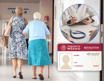 El Inapam ofrece la posibilidad de acceder a consultas médicas gratuitas de diversas especialidades. ESPECIAL