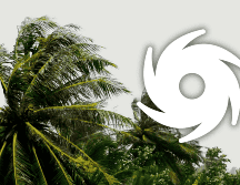 La tormenta tropical 