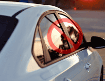 El problema es superar el porcentaje de oscurecimiento en las películas, basado en las leyes de tránsito cada entidad. ESPECIAL