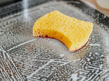 ¿Cómo limpiar la esponja de cocina para eliminar bacterias? UNSPLASH / P. PRISKE