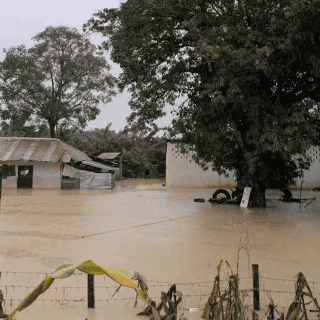 Poza Rica, inundado por desbordamiento del río Cazones