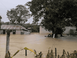 El municipio aparece entre las tendencias en redes sociales, ya que numerosos usuarios comparten videos e imágenes que muestran cómo Poza Rica está inundado ante las intensas lluvias. SUN / E. Ávila Pérez