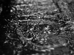 , ADO señaló que los servicios se restablecerán gradualmente conforme las autoridades confirmen mejoras en las condiciones meteorológicas y de seguridad vial. Unsplash