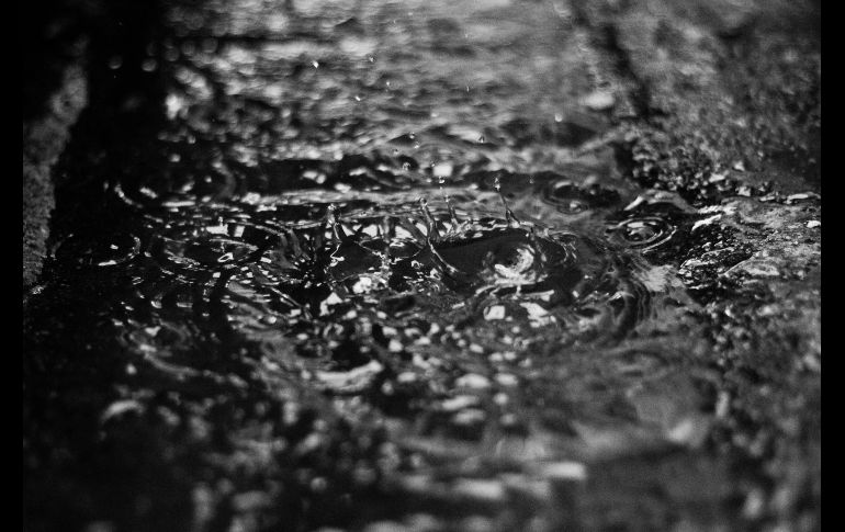 , ADO señaló que los servicios se restablecerán gradualmente conforme las autoridades confirmen mejoras en las condiciones meteorológicas y de seguridad vial. Unsplash