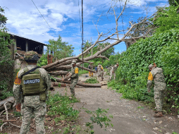 Reforzarán el despliegue de apoyo con la activación del Plan DN-III-E de la Secretaría de la Defensa Nacional. X/@CNPC_MX
