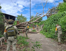 Reforzarán el despliegue de apoyo con la activación del Plan DN-III-E de la Secretaría de la Defensa Nacional. X/@CNPC_MX