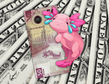 El dólar despidió la semana en 19.08 pesos en sucursales de Banamex, 23 centavos por arriba del jueves. ESPECIAL / CANVA