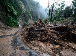 Continúan las afectaciones en el estado de Hidalgo a causa de las intensas lluvias, las cuales han generado derrumbes, daños en caminos, caída de infraestructura y la desaparición de varias personas. AFP / A. Estrella