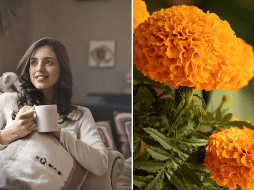 El té de flor de cempasúchil tiene diversos beneficios paara la salud. UNSPLASH/ D. CAMELO/ UNSPLASH/ A. KRUTOTA