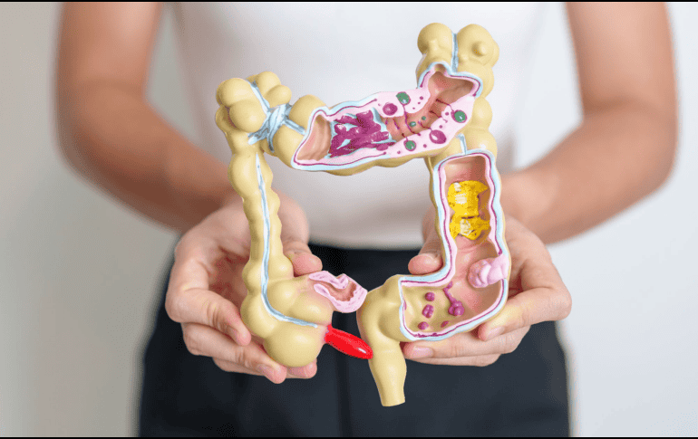 Los especialistas recomiendan no suspender ni evitar los tratamientos antibióticos cuando son prescritos por un médico, pero sí enfatizan la importancia de evitar su uso innecesario. CANVA