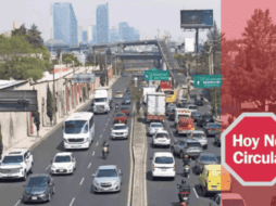 El Hoy No Circula busca reducir la contaminación y proteger el medio ambiente. PIXABAY / ESPECIAL
