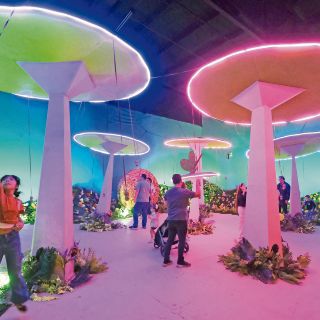 Pequeñas grandes aventuras en las Fiestas de Octubre