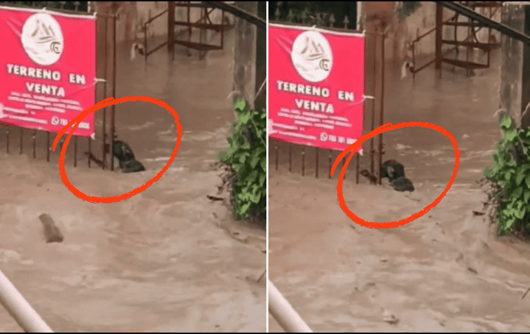 El hecho ocurrió en la colonia Villa de las Flores, donde el agua alcanzó niveles alarmantes. ESPECIAL