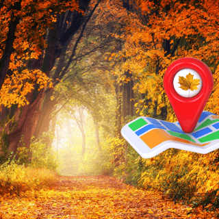 Bosque de maple en Jalisco, el otoño más espectacular de México está aquí