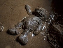 Las intensas precipitaciones dejaron afectaciones severas en los estados de Puebla, Hidalgo, San Luis Potosí, Querétaro y Veracruz. AP/F. Márquez