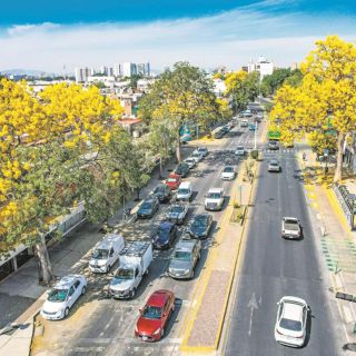 Guadalajara inicia foros para actualizar Planes Parciales