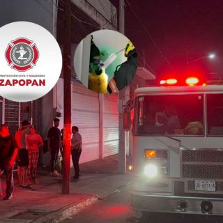 Perro tira un cilindro de gas LP y provoca explosión en Zapopan