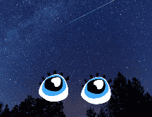 ¿Cuándo será el pico de la lluvia de estrellas Oriónidas en México? ESPECIAL / CANVA