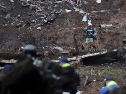 El Gobierno de México continúa con los trabajos de rescate y evacuación de personas, entrega de ayuda humanitaria y evaluación de daños. EFE/ARCHIVO