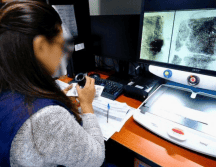 El Instituto Jalisciense de Ciencias Forenses (IJCF) y el Instituto Nacional Electoral han encontrado una herramienta útil para otorgar una identidad a las Personas Fallecidas sin Identificar. ESPECIAL/Gobierno de Jalisco