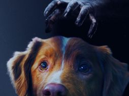 Te compartimos el tráiler de esta película esperando que seas de los primeros espectadores de este filme que dará mucho de qué hablar. ESPECIAL / IFC Films