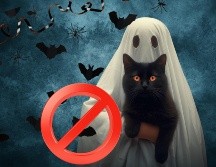 La resolución prohíbe expresamente 