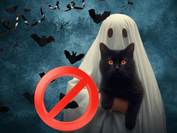 La resolución prohíbe expresamente "toda clase de fiestas, eventos o actividades públicas o privadas alusivas o conmemorativas a Halloween por considerarse contrarias a las tradiciones culturales y espirituales del distrito". ESPECIAL / CANVA