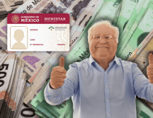 Con este programa, el Inapam pretende fomentar la inclusión de los adultos mayores en la sociedad. ESPECIAL