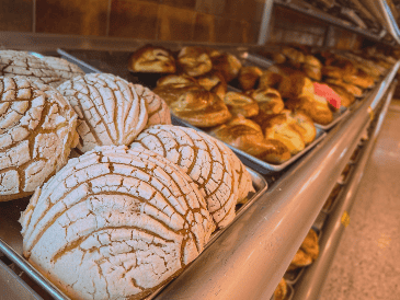 Más allá de las calorías, la clave está en moderación y en mantener un estilo de vida activo. ESPECIAL